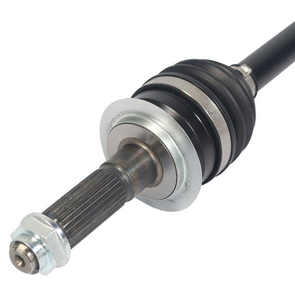 PR66010_3.jpg