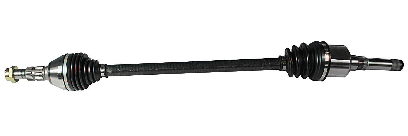 NCV10070.jpg