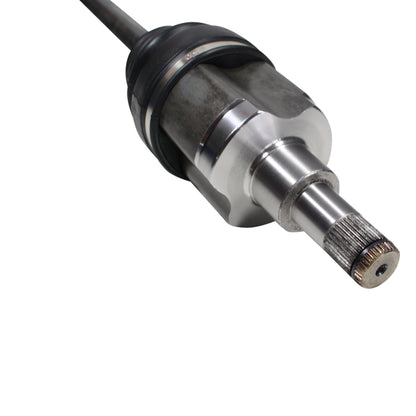NCV11578_4.jpg