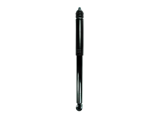 GS8163.jpg