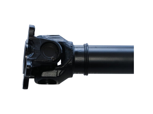 PS900128_3.jpg