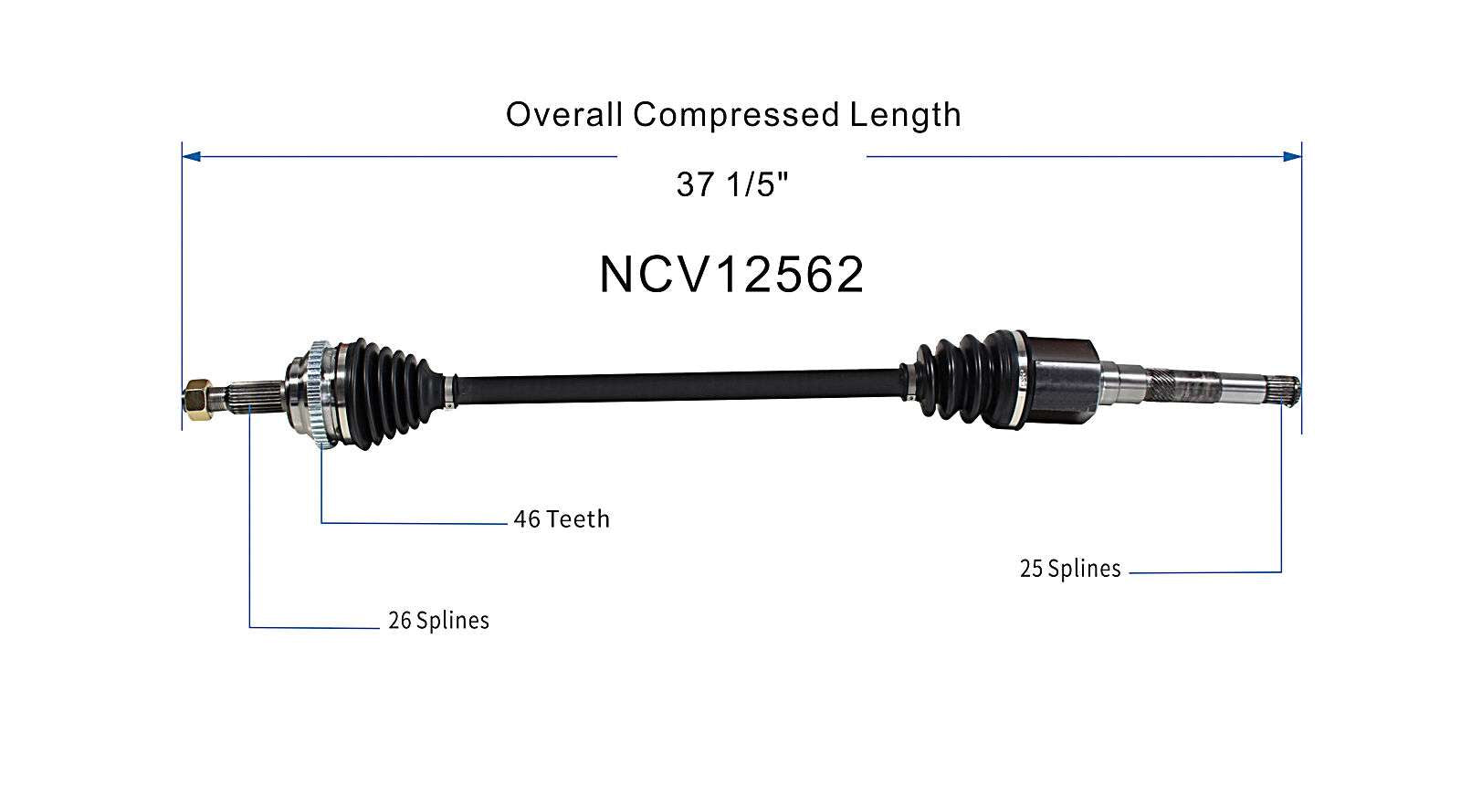 NCV12562_SPE.jpg