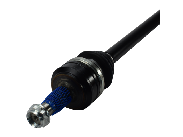 PR48055_3.jpg