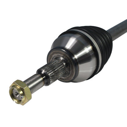 NCV11161_3.jpg