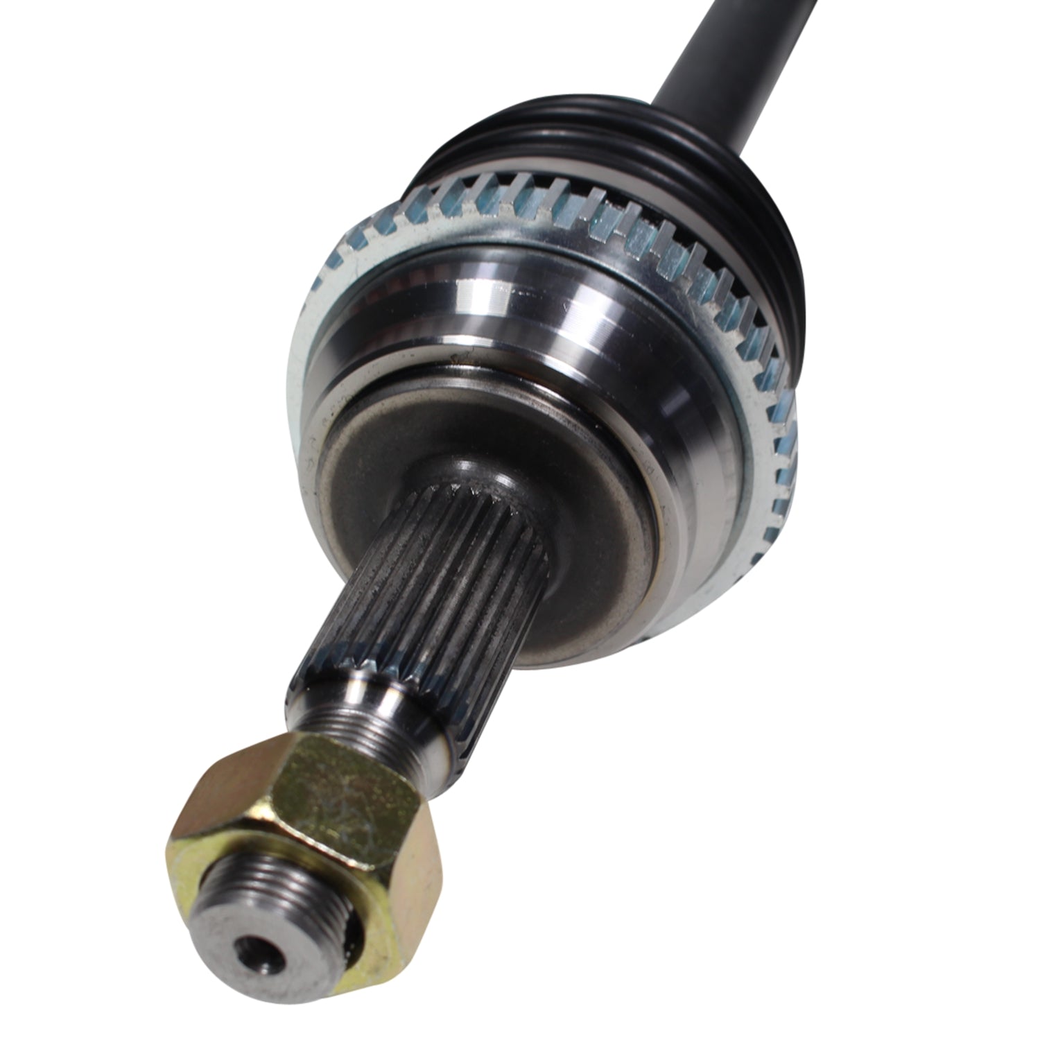 NCV12559_3.jpg