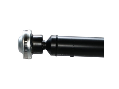 PS900510_3.jpg
