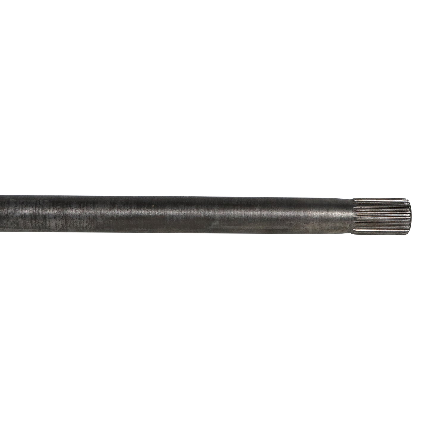 NCV83036_2.jpg