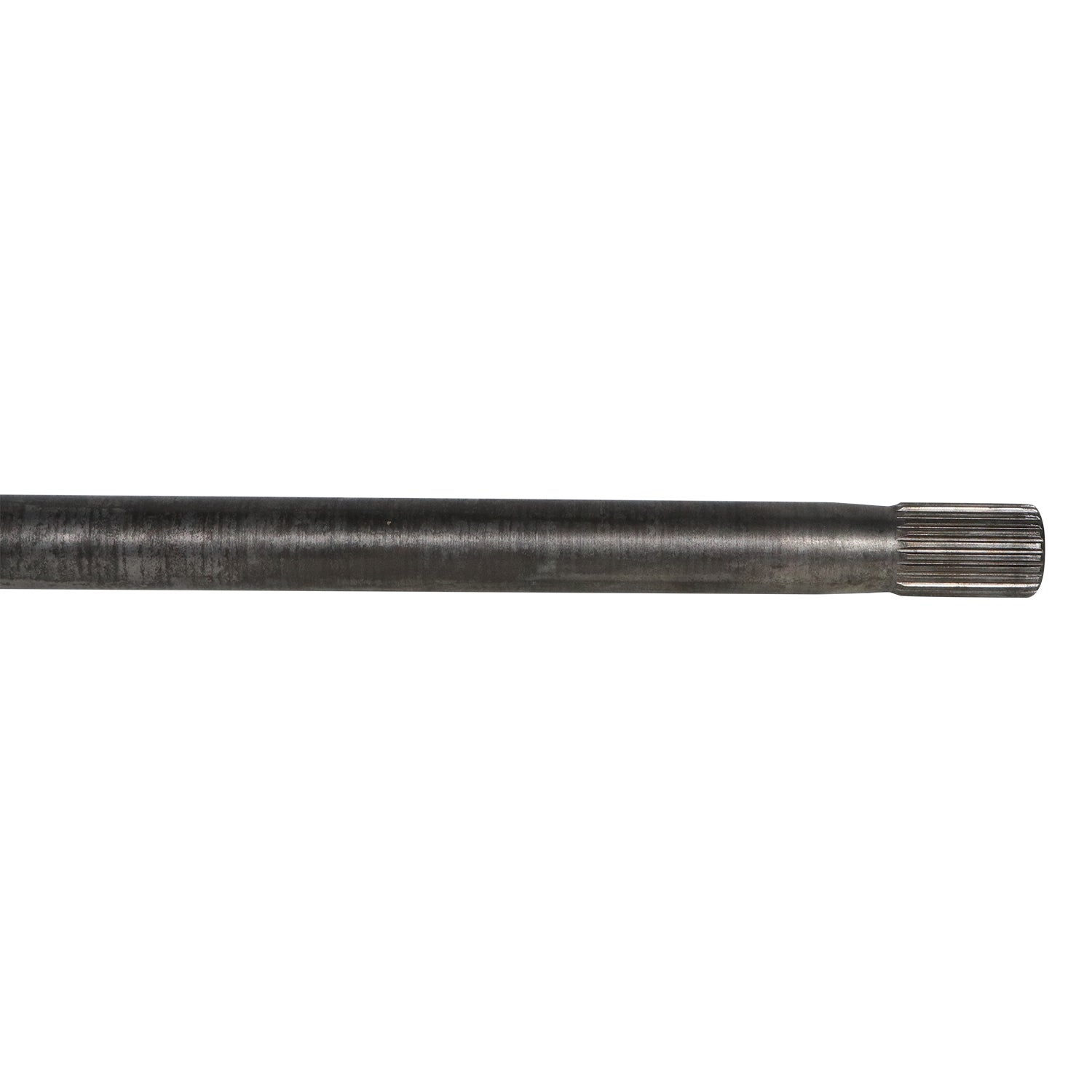 NCV83036_2.jpg