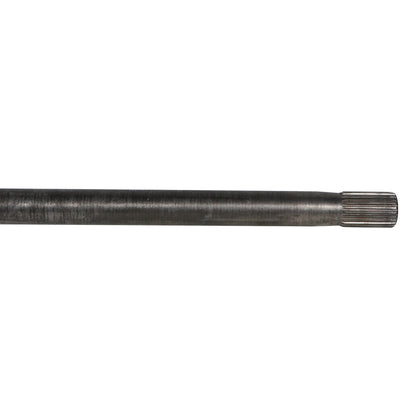 NCV83036_2.jpg
