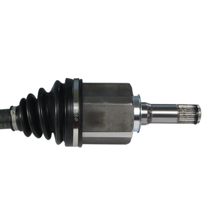 NCV11019_2.jpg