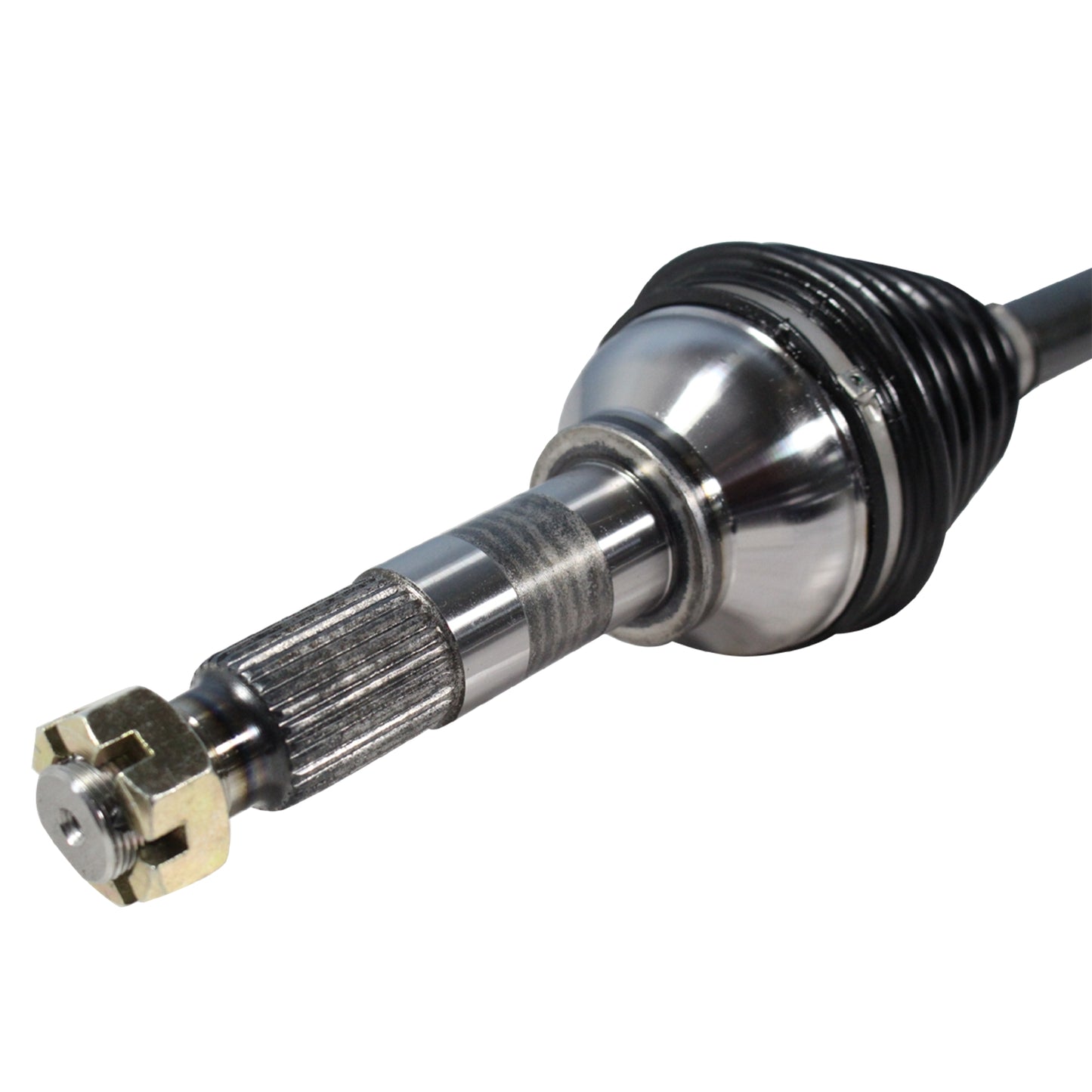 NCV66001_3.jpg
