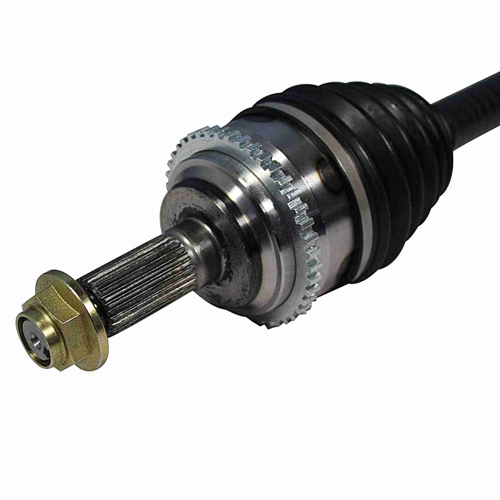 NCV11559-3.jpg