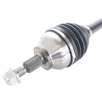 NCV11166_3.jpg
