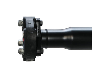 PS900145_3.jpg