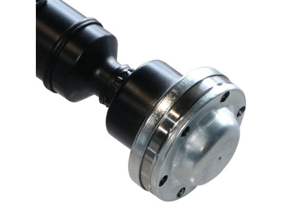 PS900510_1.jpg