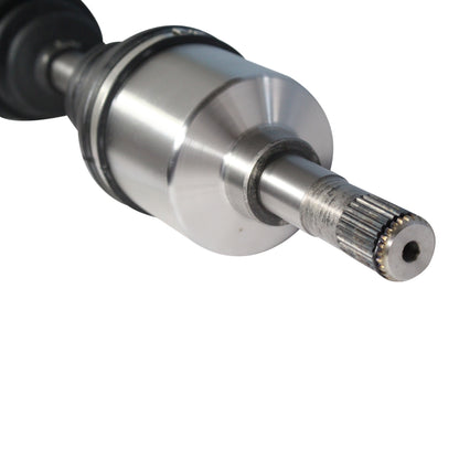 NCV11041_4.jpg