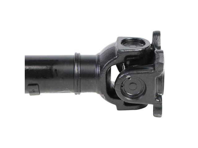 PS900124_4.jpg