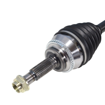 NCV10559_3.jpg