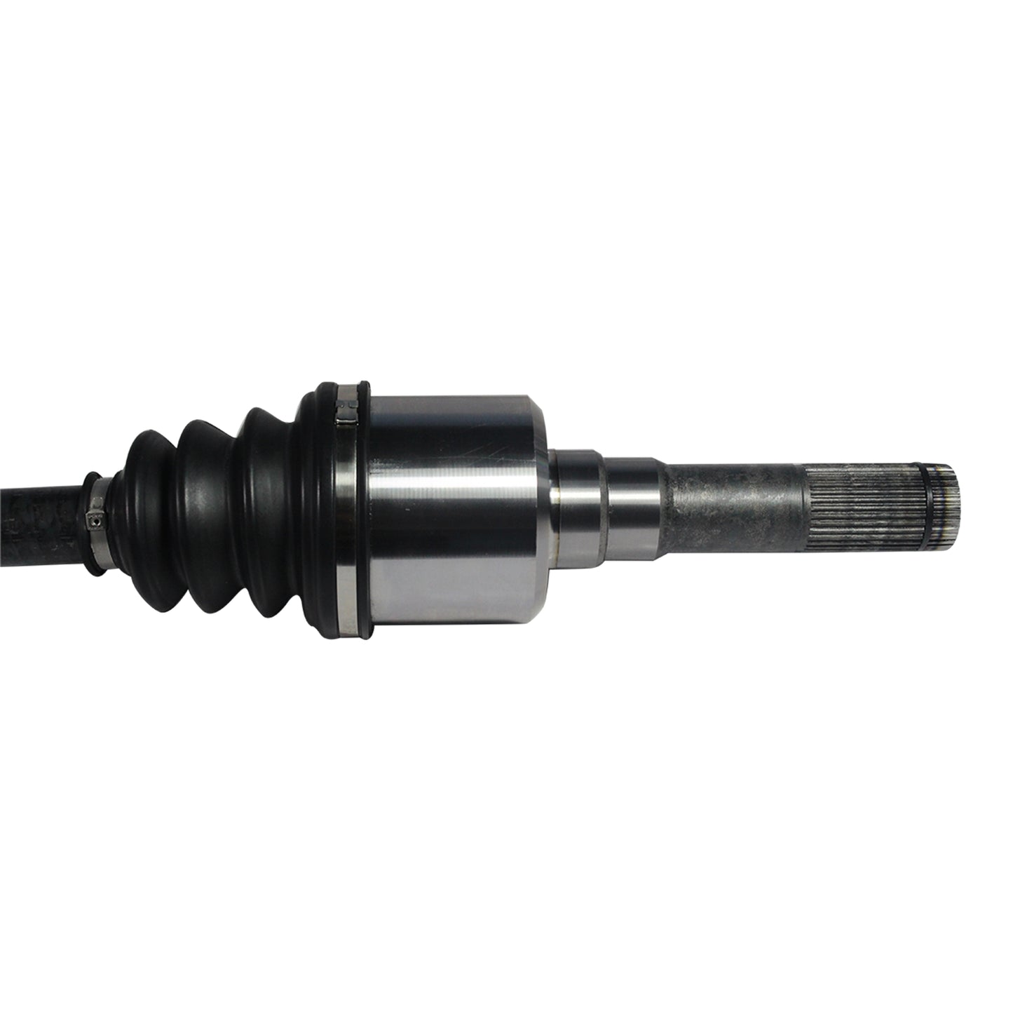 NCV11194_2.jpg