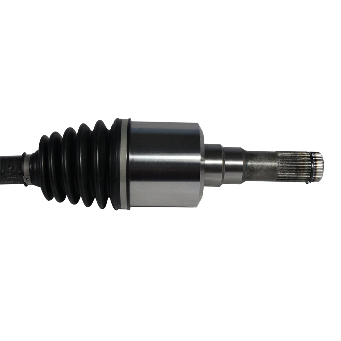 NCV11169_2.jpg