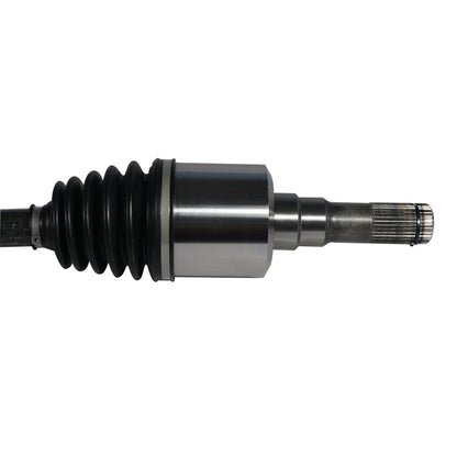 NCV11169_2.jpg