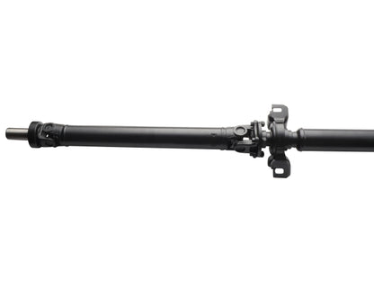 PS900503_1.jpg