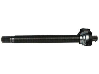NEX11006.jpg