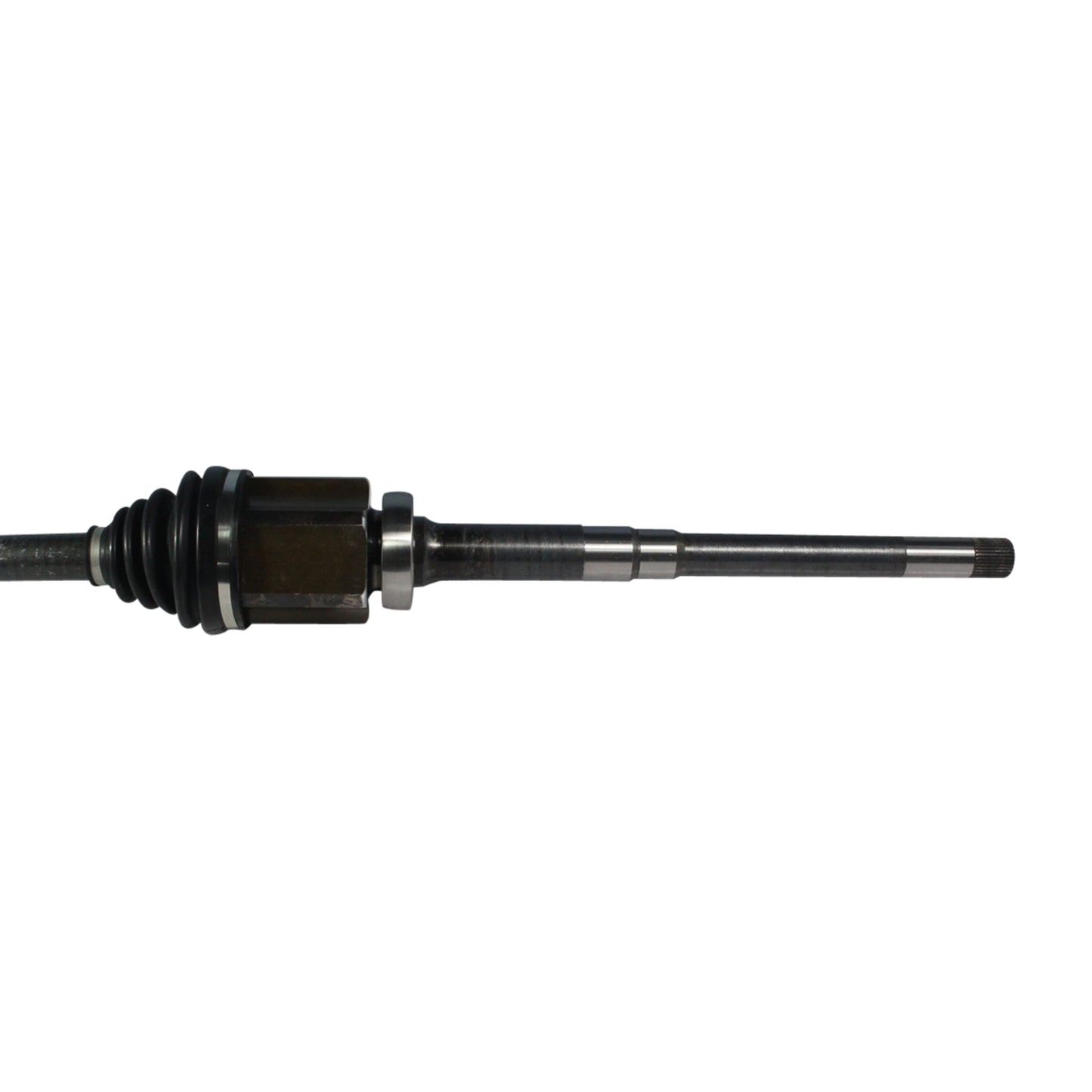 NCV11167_2.jpg
