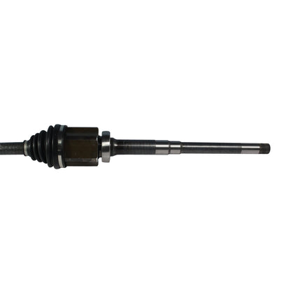 NCV11167_2.jpg