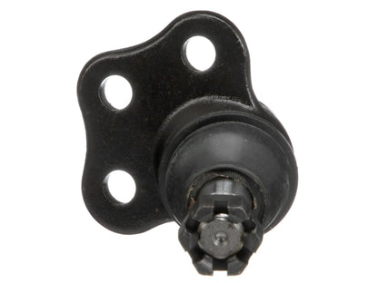 NS80381_4.jpg