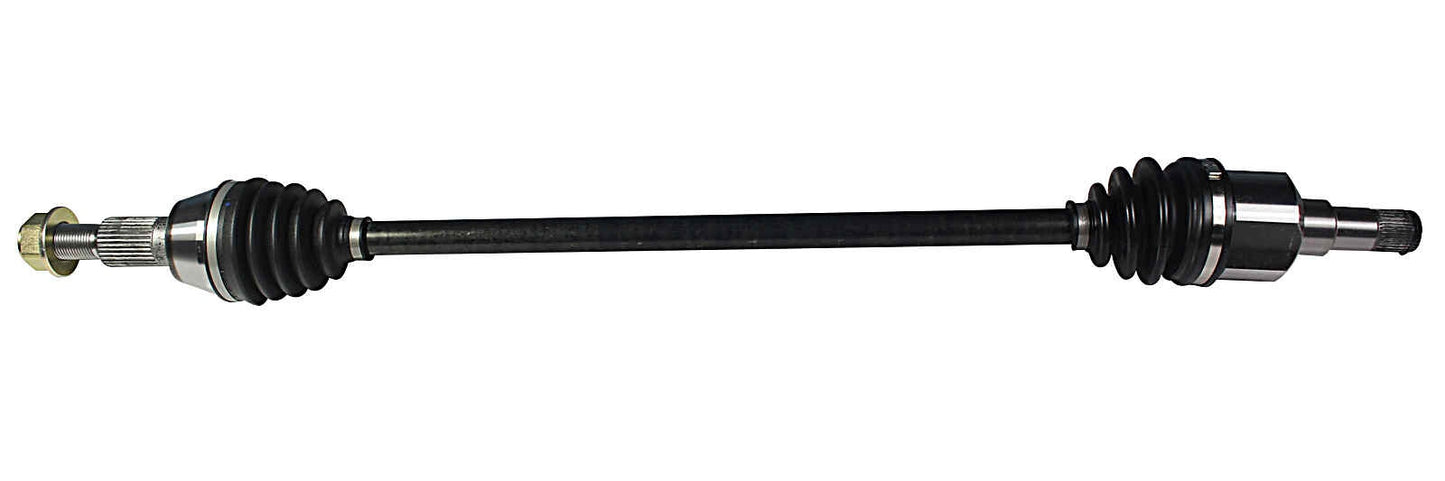 NCV10073.jpg