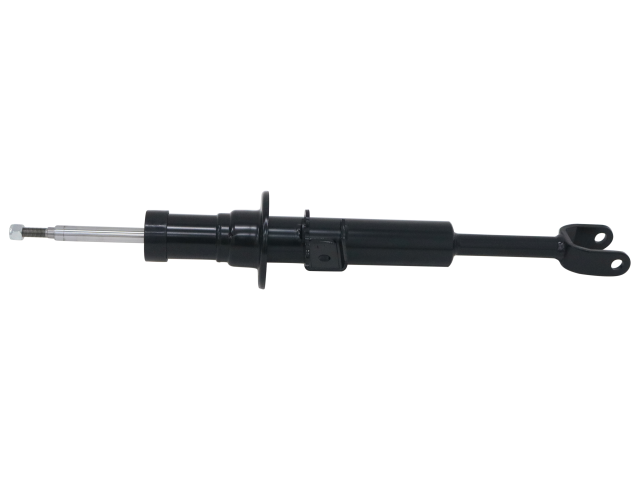 GS8251.jpg