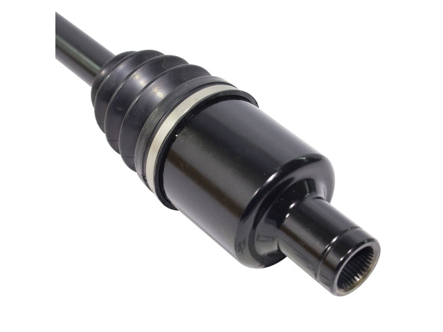 PR48030_4.jpg