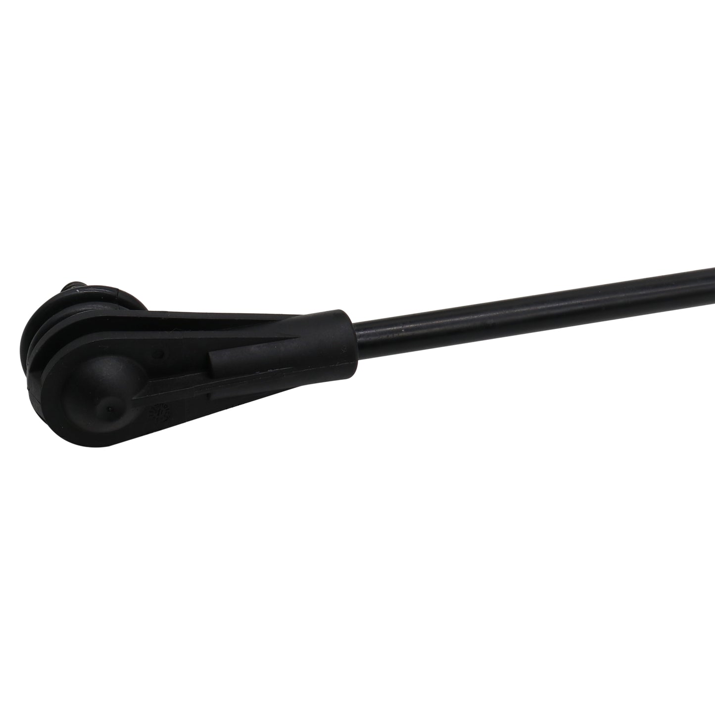 NS50270_3.jpg