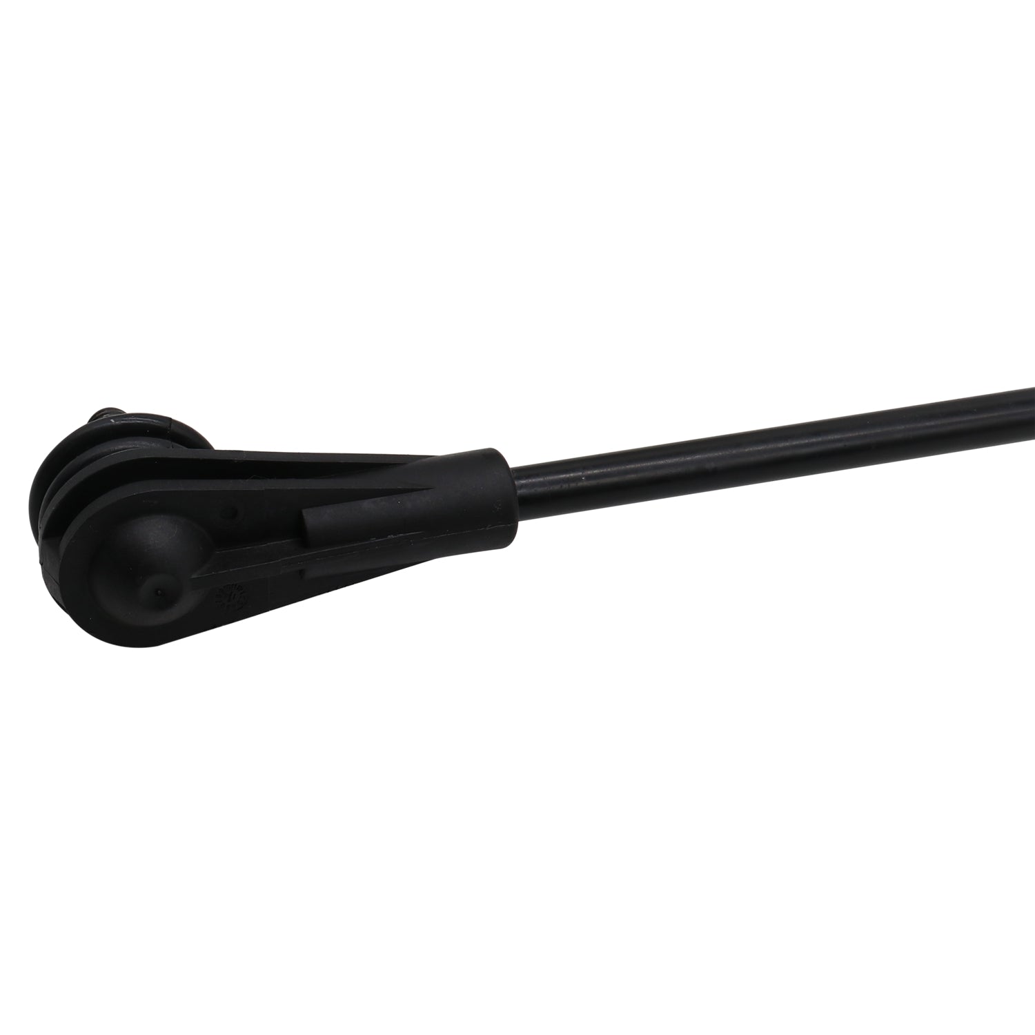 NS50270_3.jpg