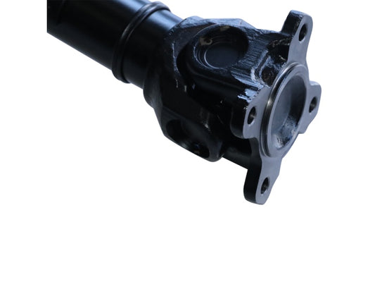 PS900128_1.jpg