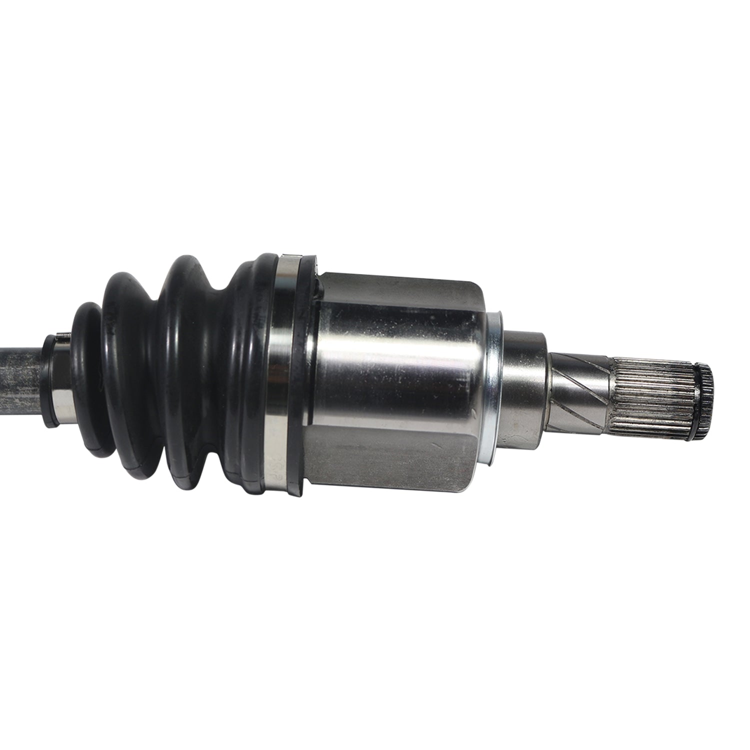 NCV11092_2.jpg