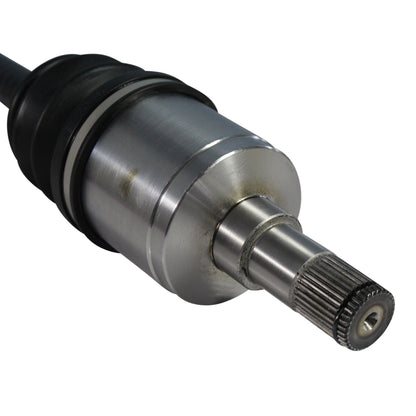 NCV40001_4.jpg