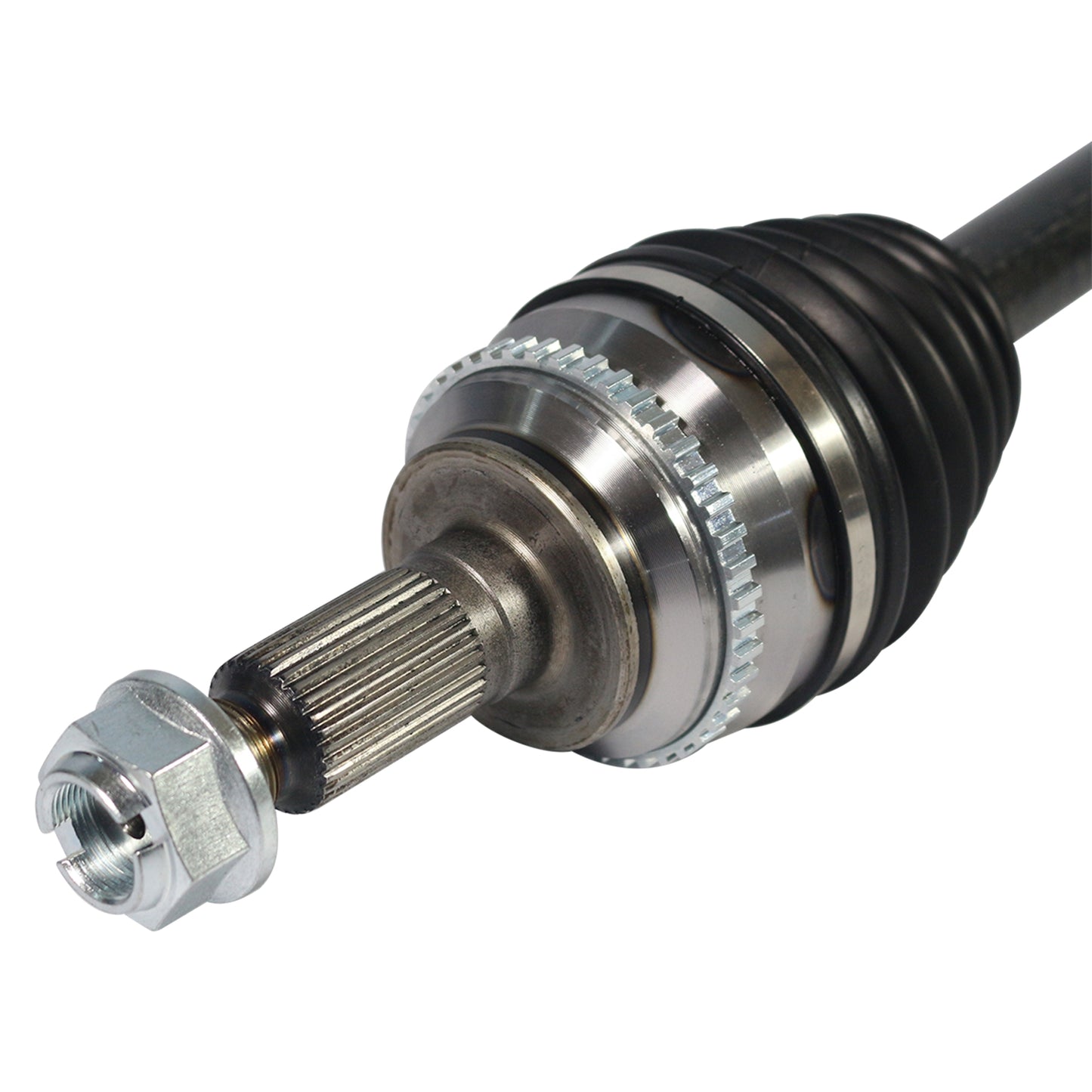 NCV11509_3.jpg