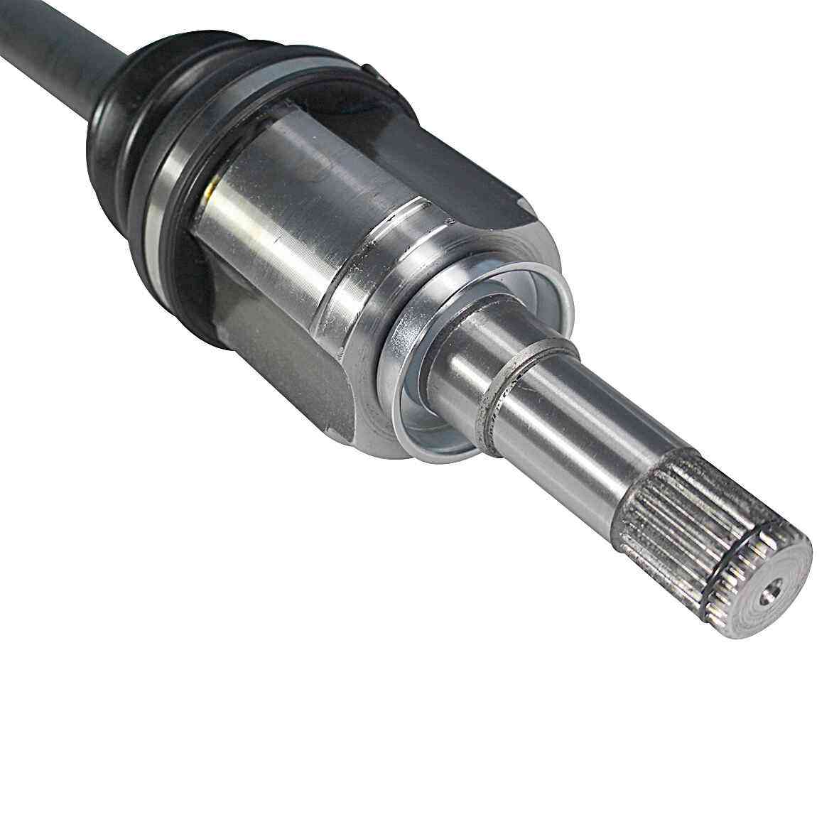 NCV10080-4.jpg