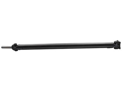 PS900206.jpg