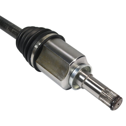 NCV11508_4.jpg