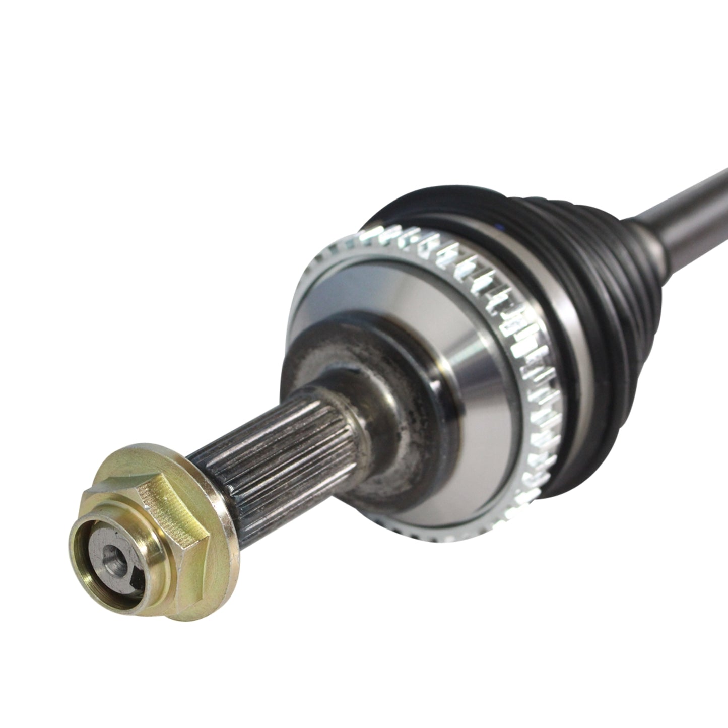 NCV11504_3.jpg