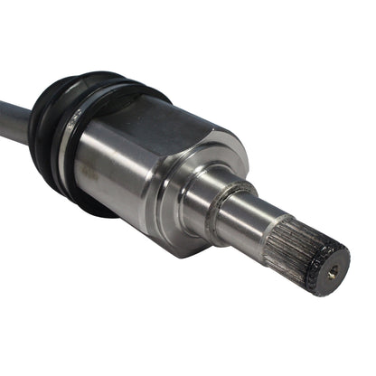 NCV11186_4.jpg