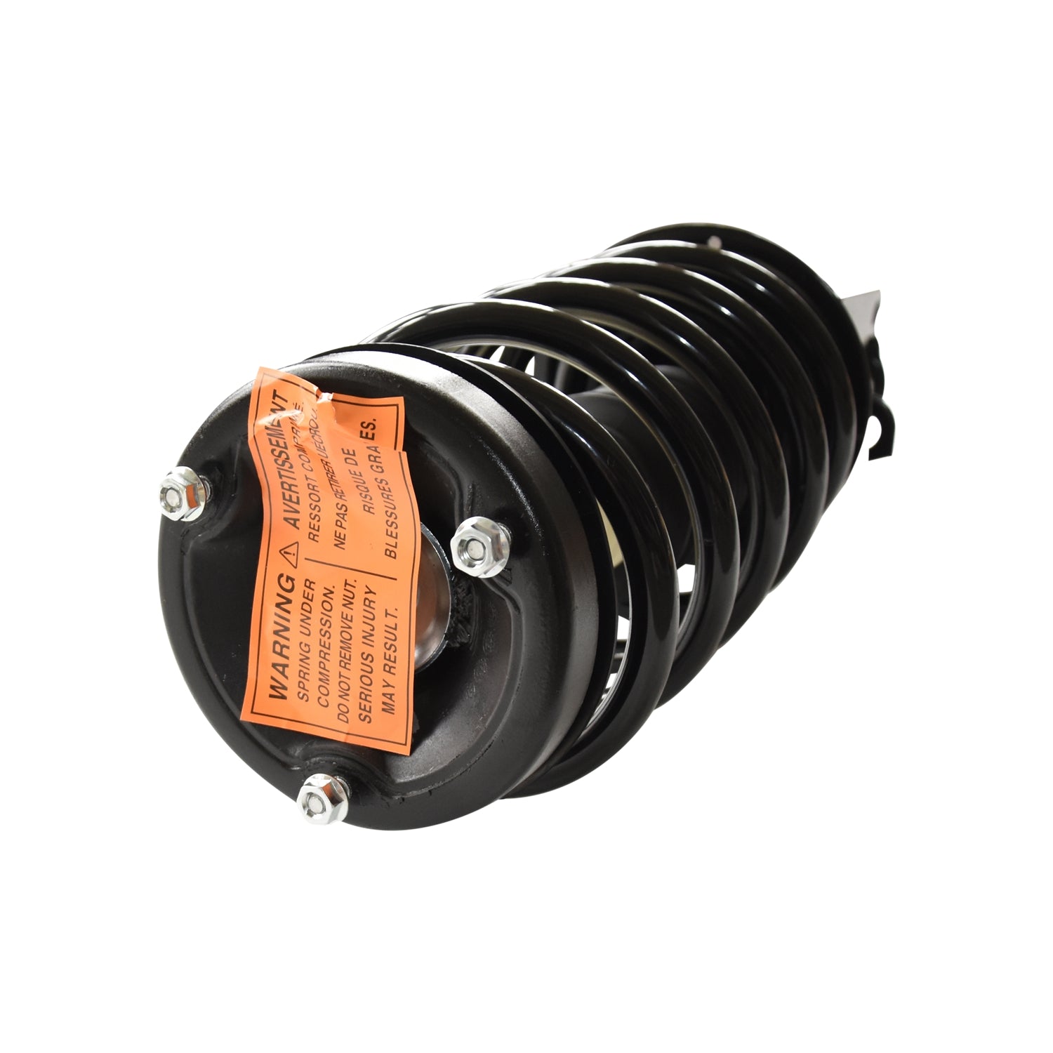 883039.jpg