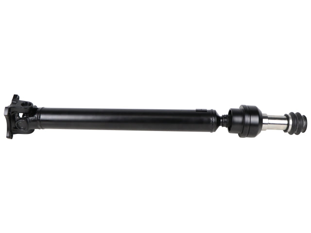 PS900210.jpg