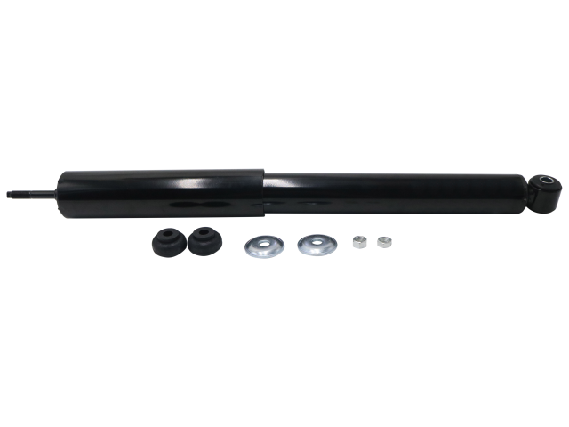 GS8146.jpg