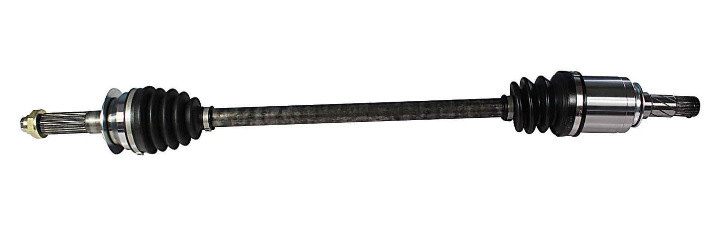 NCV66010.jpg
