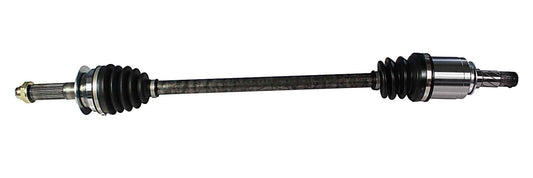 NCV66010.jpg