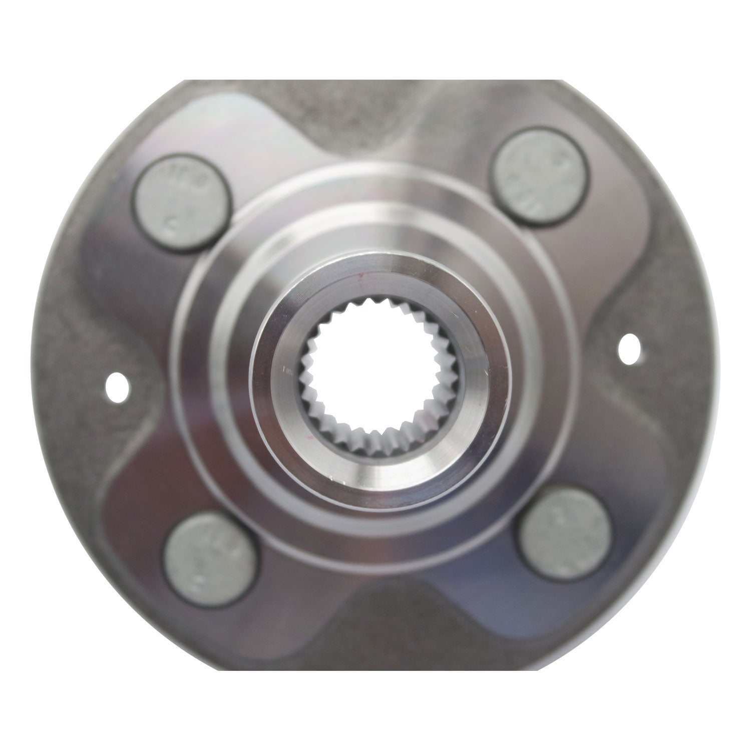 360008_4.jpg